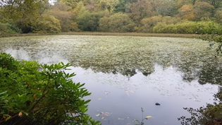 Milngavie Dirty Dam