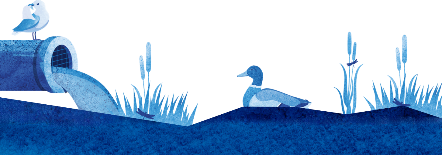 overlay